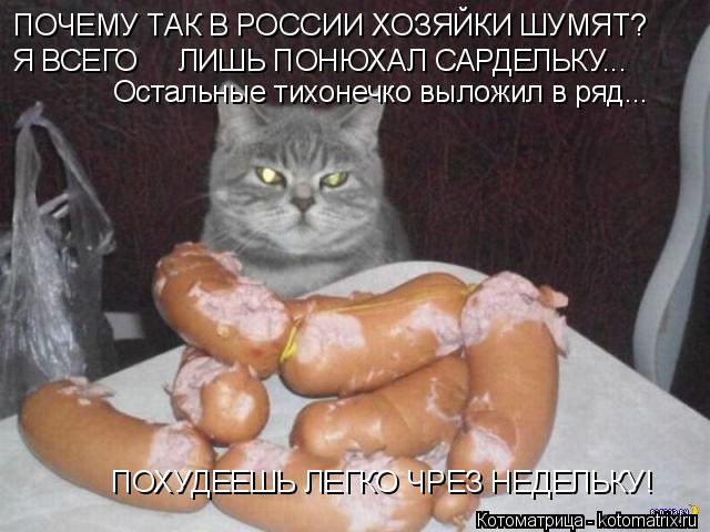 ПОЧЕМУ ТАК В РОССИИ ХОЗЯЙКИ ШУМЯТ? Я ВСЕГО ЛИШЬ ПОНЮХАЛ САРДЕЛЬКУ... Остальные тихонечко выложил ... Котоматрица: ПОЧЕМУ ТАК В РОССИИ ХОЗЯЙКИ ШУМЯТ? Я ВСЕГО ЛИШЬ ПОНЮХАЛ САРДЕЛЬКУ... Остальные тихонечко выложил в ряд... ПОХУДЕЕШЬ ЛЕГКО ЧРЕЗ НЕДЕЛЬКУ!