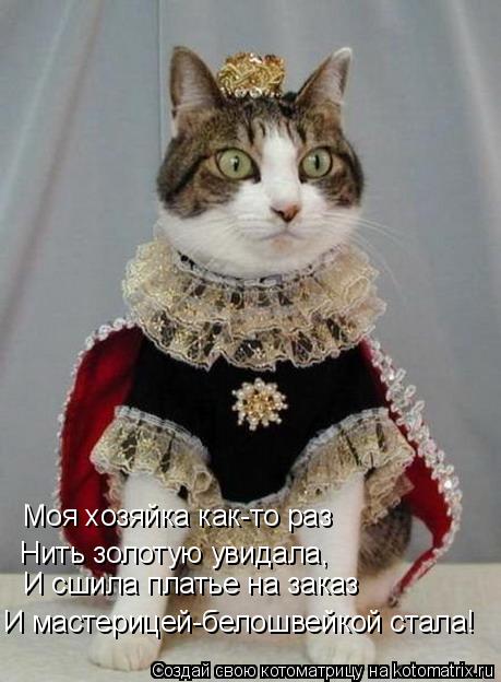 Моя хозяйка как-то раз Нить золотую увидала, И сшила платье на заказ И мастерицей-белошвейкой стала!... Котоматрица: Моя хозяйка как-то раз Нить золотую увидала, И сшила платье на заказ И мастерицей-белошвейкой стала!