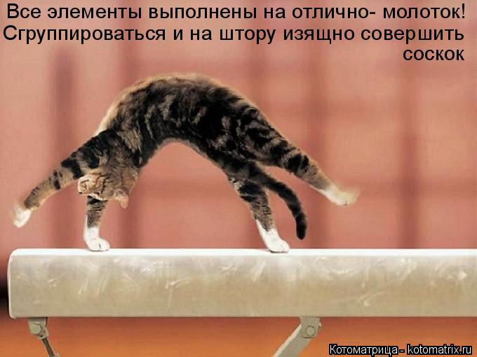 Котоматрица: Все элементы выполнены на отлично- молоток! Сгруппироваться и на штору изящно совершить соскок