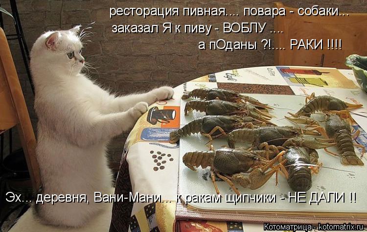 Котоматрица: заказал Я к пиву - ВОБЛУ .... а пОданы ?!.... РАКИ !!!! ресторация пивная.... повара - собаки... Эх... деревня, Вани-Мани... к ракам щипчики - НЕ ДАЛИ !!