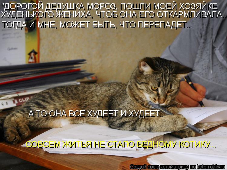 Котоматрица: "ДОРОГОЙ ДЕДУШКА МОРОЗ, ПОШЛИ МОЕЙ ХОЗЯЙКЕ ХУДЕНЬКОГО ЖЕНИХА, ЧТОБ ОНА ЕГО ОТКАРМЛИВАЛА... ТОГДА И МНЕ, МОЖЕТ БЫТЬ, ЧТО ПЕРЕПАДЕТ... А ТО ОНА ВС