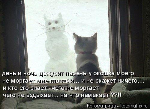 Котоматрица: день и ночь дежурит парень у окошка моего, и кто его знает.. чего не моргает,  чего не вздыхает... на что намекает ??!! не моргает мне глазами... и 