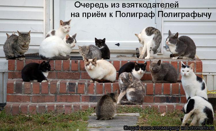Котоматрица: Очередь из взяткодателей на приём к Полиграф Полиграфычу