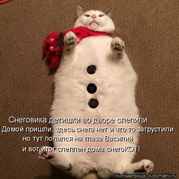 Котоматрица: Снеговика детишки во дворе слепили Домой пришли, здесь снега нет и что то загрустили  но тут попался на глаза Василий  и вот итог слеплен дом