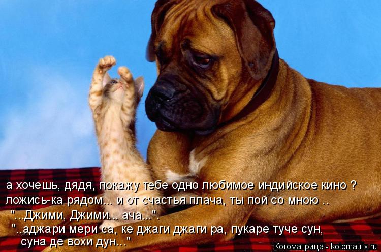 Котоматрица: а хочешь, дядя, покажу тебе одно любимое индийское кино ? ложись-ка рядом... и от счастья плача, ты пой со мною .. "...Джими, Джими... ача...". "..аджар