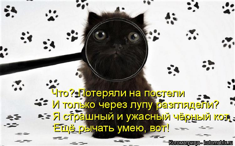Котоматрица: Что? Потеряли на постели  И только через лупу разглядели? Я страшный и ужасный чёрный кот, Ещё рычать умею, вот!