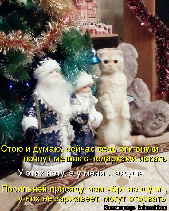 Котоматрица: Стою и думаю, сейчас ведь эти внуки начнут мешок с подарками искать У этих нету, а у меня.., аж два Посильней присяду, чем чёрт не шутит,   у них 