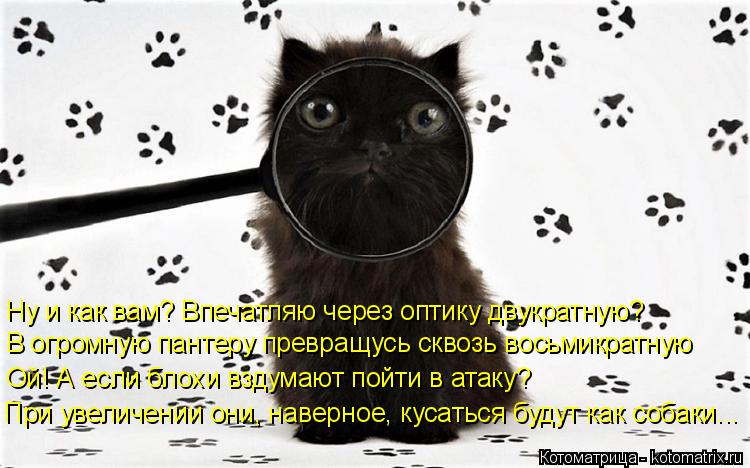 Котоматрица: В огромную пантеру превращусь сквозь восьмикратную   Ну и как вам? Впечатляю через оптику двукратную? Ой! А если блохи вздумают пойти в атак