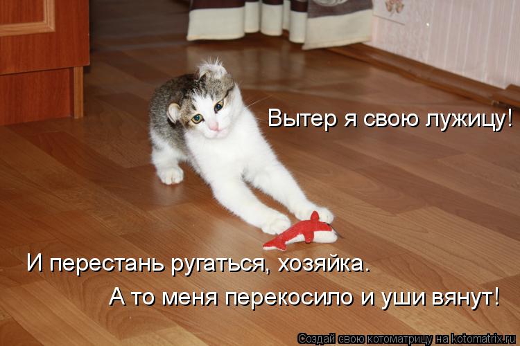 Котоматрица: Вытер я свою лужицу! И перестань ругаться, хозяйка. А то меня перекосило и уши вянут!