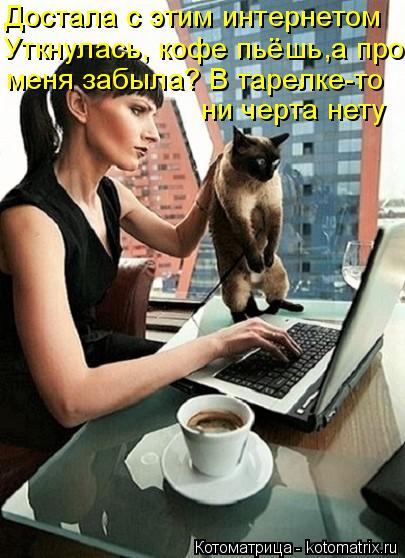 Котоматрица: Достала с этим интернетом Уткнулась, кофе пьёшь,а про меня забыла? В тарелке-то ни черта нету