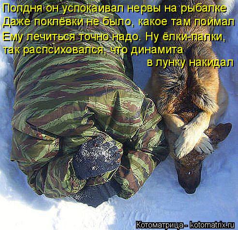 Котоматрица: Полдня он успокаивал нервы на рыбалке Даже поклёвки не было, какое там поймал Ему лечиться точно надо. Ну ёлки-палки, так распсиховался, что 