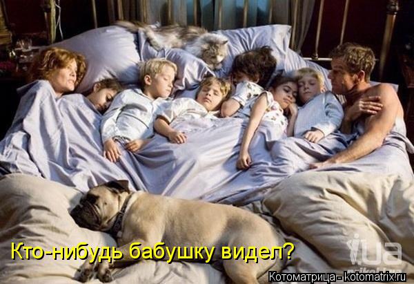 Кто-нибудь бабушку видел?... Котоматрица: Кто-нибудь бабушку видел?