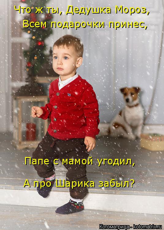 Котоматрица: Что ж ты, Дедушка Мороз, Всем подарочки принес, Папе с мамой угодил, А про Шарика забыл?