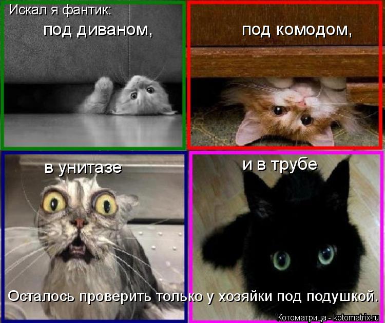 Котоматрица: Осталось проверить только у хозяйки под подушкой. Искал я фантик: под диваном,                  под комодом, в унитазе  и в трубе