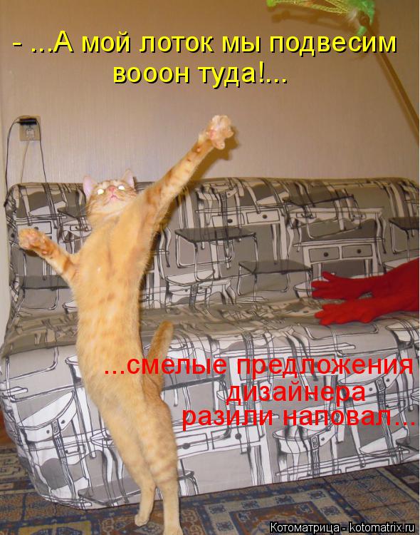 Котоматрица: вооон туда!... - ...А мой лоток мы подвесим разили наповал...  дизайнера ...смелые предложения