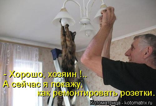 Котоматрица: - Хорошо, хозяин !.. А сейчас я покажу,  как ремонтировать розетки.