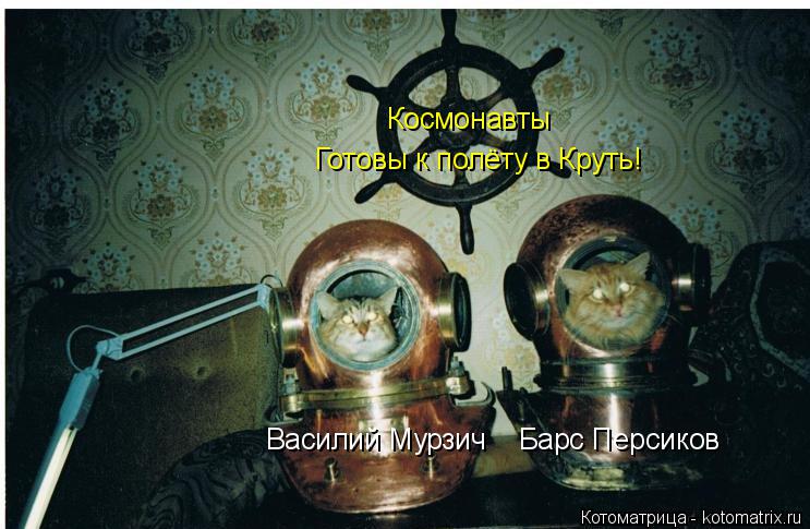 Котоматрица: Космонавты Василий Мурзич Барс Персиков Готовы к полёту в Круть!