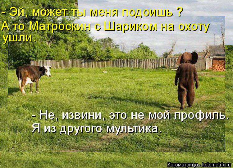 Котоматрица: - Эй, может ты меня подоишь ? ушли. - Не, извини, это не мой профиль. А то Матроскин с Шариком на охоту Я из другого мультика.