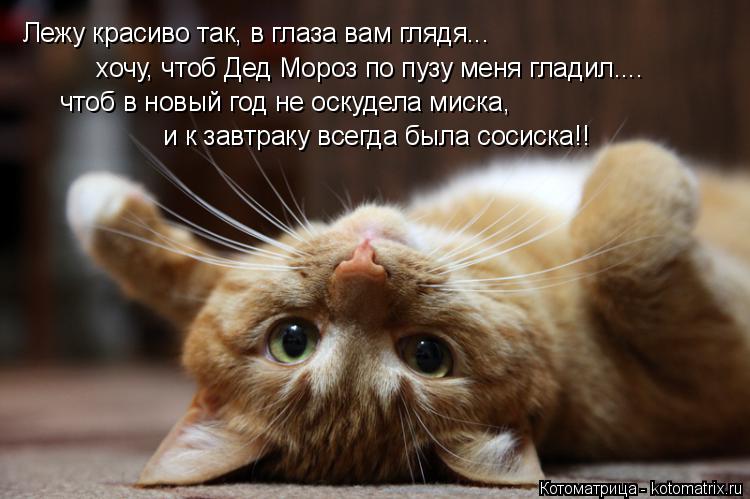 Котоматрица: Лежу красиво так, в глаза вам глядя... хочу, чтоб Дед Мороз по пузу меня гладил.... чтоб в новый год не оскудела миска, и к завтраку всегда была с