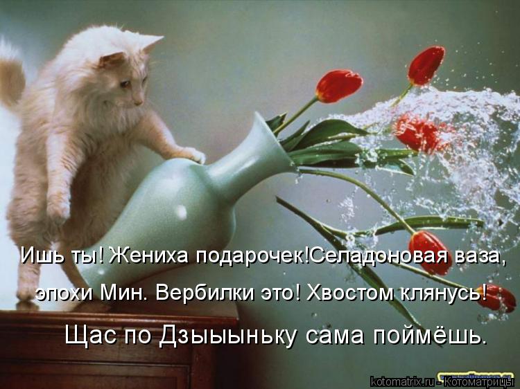 Котоматрица: Ишь ты! Жениха подарочек!Селадоновая ваза, эпохи Мин. Вербилки это! Хвостом клянусь!  Щас по Дзыыыньку сама поймёшь.