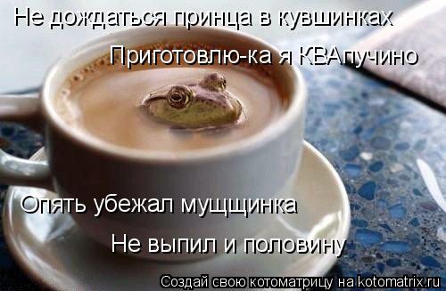 Котоматрица: Не дождаться принца в кувшинках Приготовлю-ка я КВАпучино Опять убежал мущщинка Не выпил и половину