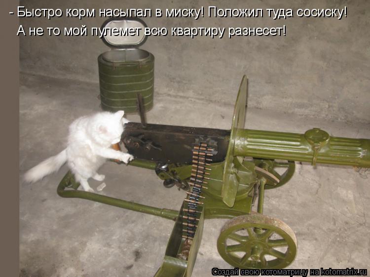 Котоматрица: - Быстро корм насыпал в миску! Положил туда сосиску! А не то мой пулемет всю квартиру разнесет!