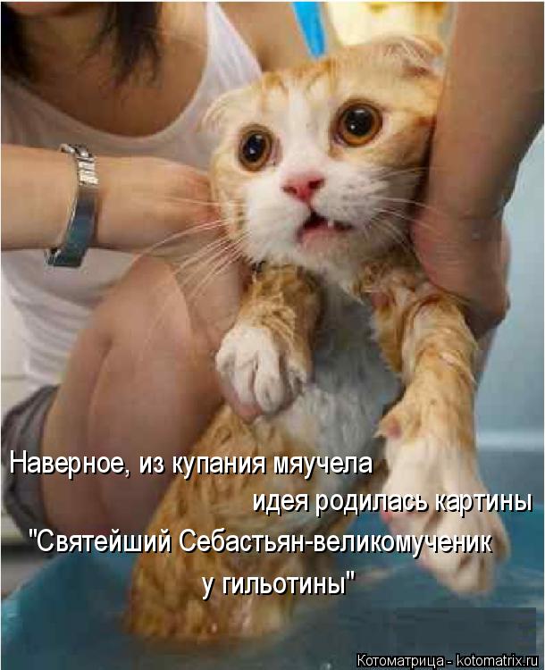 Котоматрица: Наверное, из купания мяучела  идея родилась картины "Святейший Себастьян-великомученик  у гильотины"
