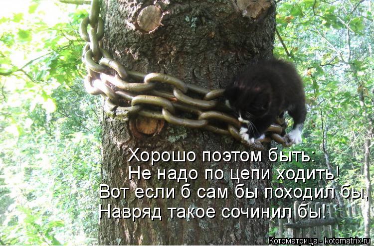 Не надо по цепи ходить! Вот если б сам бы походил бы, Навряд такое сочинил бы! Хорошо поэтом быть:... Котоматрица: Не надо по цепи ходить! Вот если б сам бы походил бы, Навряд такое сочинил бы! Хорошо поэтом быть: