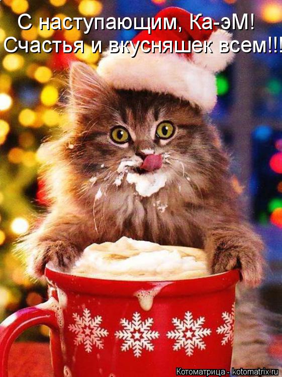 Котоматрица: С наступающим, Ка-эМ! Счастья и вкусняшек всем!!!