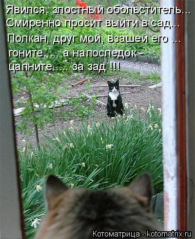 Котоматрица: Явился, злостный обольститель... Смиренно просит выйти в сад... Полкан, друг мой, взашей его ... гоните..... а напоследок -  цапните..... за зад !!!