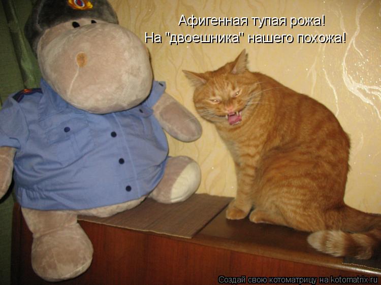 Афигенная тупая рожа! На "двоешника" нашего похожа!... Котоматрица: Афигенная тупая рожа! На "двоешника" нашего похожа!
