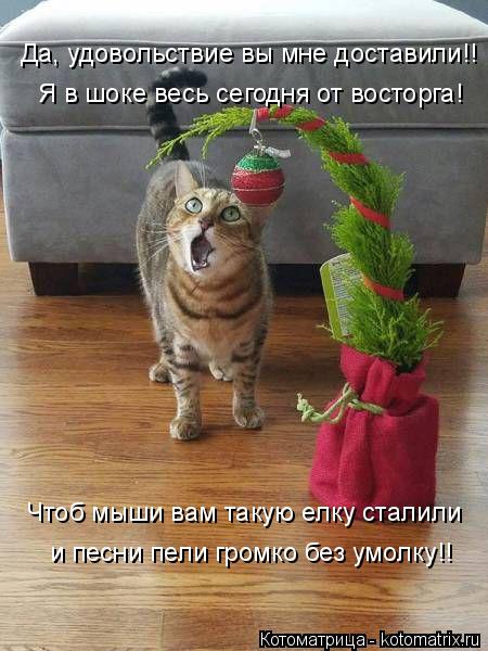Да, удовольствие вы мне доставили!! Я в шоке весь сегодня от восторга! Чтоб мыши вам такую елку стали... Котоматрица: Да, удовольствие вы мне доставили!! Я в шоке весь сегодня от восторга! Чтоб мыши вам такую елку сталили и песни пели громко без умолку!!