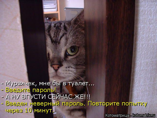 - Мурзичек, мне бы в туалет... - Введите пароль! - А НУ ВПУСТИ СЕЙЧАС ЖЕ!!! - Введен неверный пароль.... Котоматрица: - Мурзичек, мне бы в туалет... - Введите пароль! - А НУ ВПУСТИ СЕЙЧАС ЖЕ!!! - Введен неверный пароль. Повторите попытку через 10 минут.