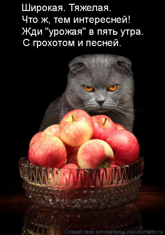 Широкая. Тяжелая. Что ж, тем интересней! Жди "урожая" в пять утра. С грохотом и песней.... Котоматрица: Широкая. Тяжелая. Что ж, тем интересней! Жди "урожая" в пять утра. С грохотом и песней.