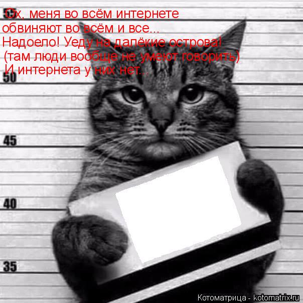 Котоматрица: Ох, меня во всём интернете обвиняют во всём и все... Надоело! Уеду на далёкие острова! (там люди вообще не умеют говорить) И интернета у них нет