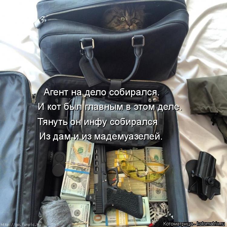 Котоматрица: Агент на дело собирался. И кот был главным в этом деле. Тянуть он инфу собирался Из дам и из мадемуазелей.