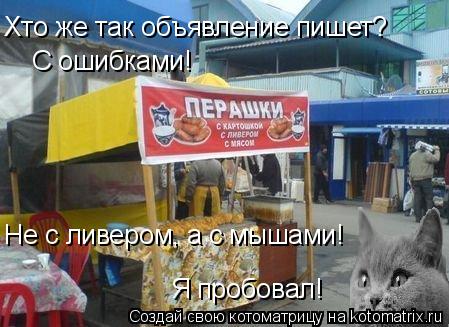 Котоматрица: Хто же так объявление пишет? С ошибками! Не с ливером, а с мышами!  Я пробовал!
