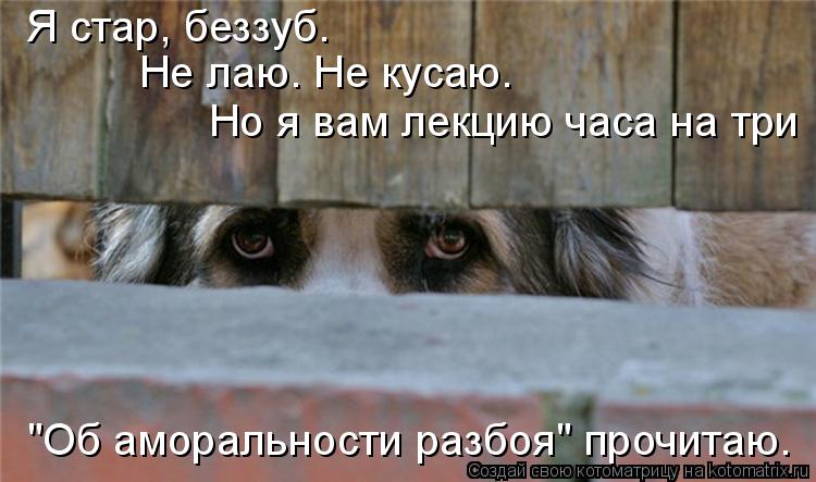 Котоматрица: "Об аморальности разбоя" прочитаю. Я стар, беззуб.  Не лаю. Не кусаю. Но я вам лекцию часа на три