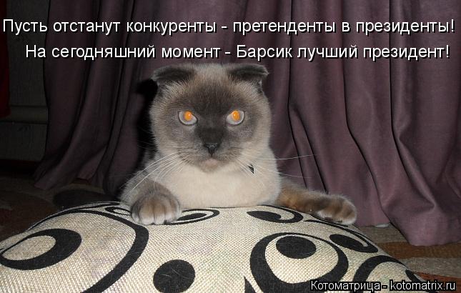 Котоматрица: На сегодняшний момент - Барсик лучший президент! Пусть отстанут конкуренты - претенденты в президенты!