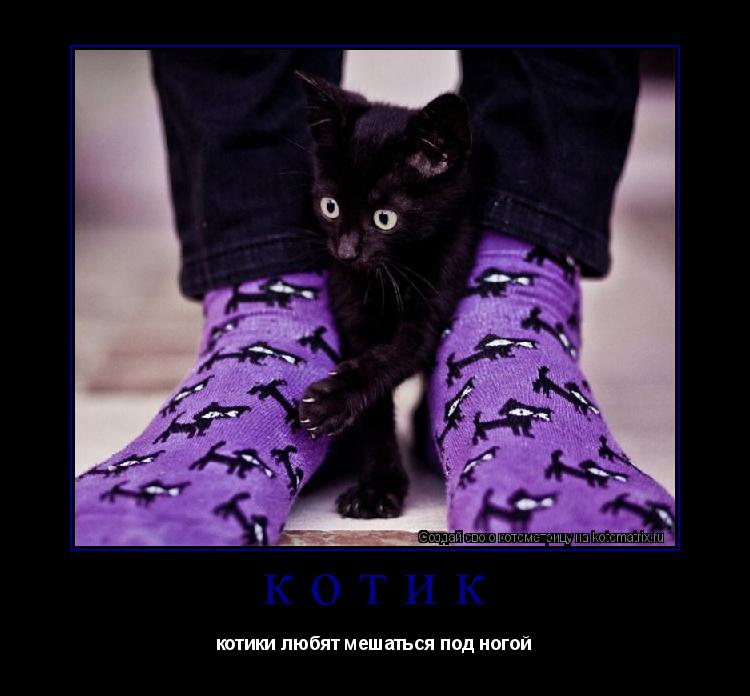 Котоматрица: котик котики любят мешаться под ногой