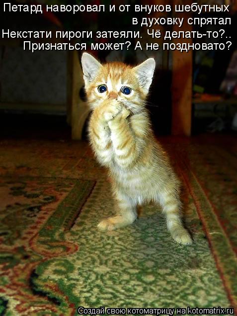 Котоматрица: Петард наворовал и от внуков шебутных в духовку спрятал Некстати пироги затеяли. Чё делать-то?.. Признаться может? А не поздновато?