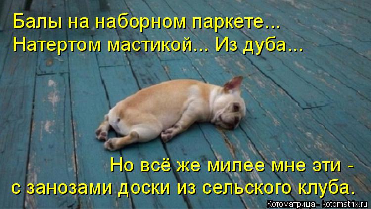 Котоматрица: Балы на наборном паркете... Натертом мастикой... Из дуба... Но всё же милее мне эти - с занозами доски из сельского клуба.