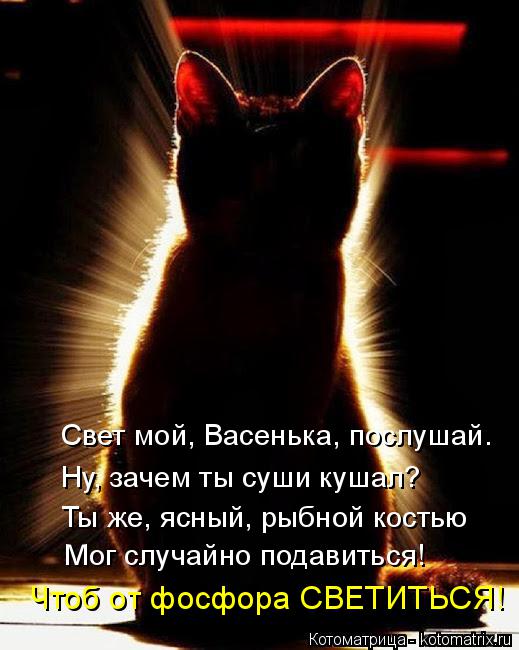 Котоматрица: Свет мой, Васенька, послушай. Ну, зачем ты суши кушал? Ты же, ясный, рыбной костью Мог случайно подавиться! Чтоб от фосфора СВЕТИТЬСЯ!