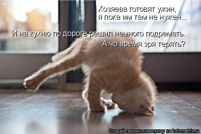 Котоматрица: Хозяева готовят ужин, я пока им там не нужен... И на кухню по дороге решил немного подремать. А чо время зря терять?