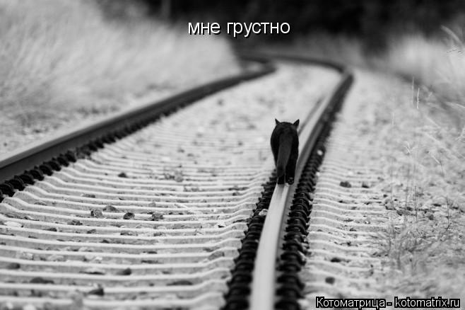 Котоматрица: мне грустно