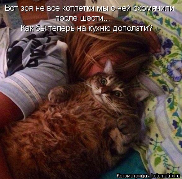 Котоматрица: Вот зря не все котлетки мы с ней схомячили после шести... Как бы теперь на кухню доползти?