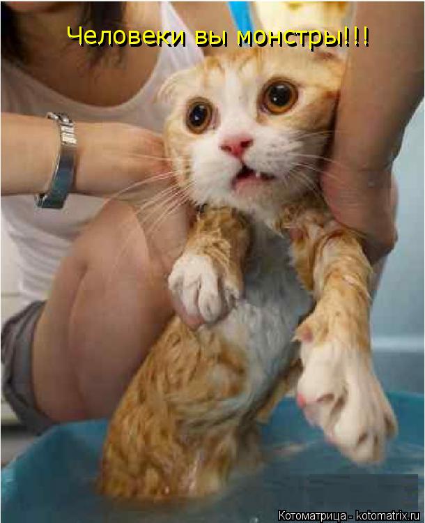 Котоматрица: Человеки вы монстры!!! Человеки вы монстры!!! Человеки вы монстры!!!