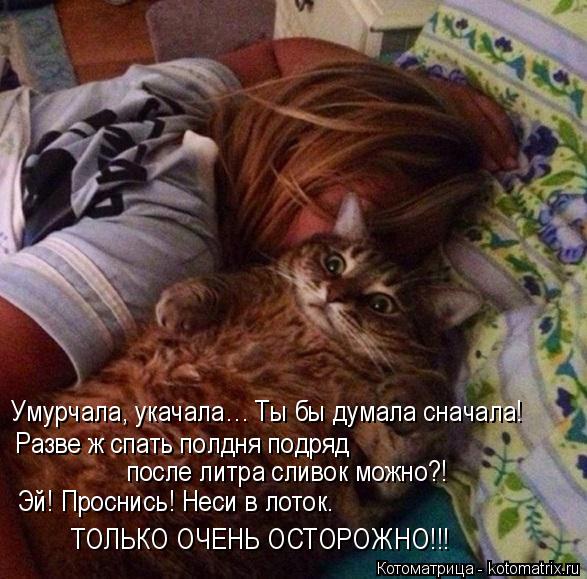 ТОЛЬКО ОЧЕНЬ ОСТОРОЖНО!!! Эй! Проснись! Неси в лоток. после литра сливок можно?! Разве ж спать полдн... Котоматрица: ТОЛЬКО ОЧЕНЬ ОСТОРОЖНО!!! Эй! Проснись! Неси в лоток. после литра сливок можно?! Разве ж спать полдня подряд Умурчала, укачала… Ты бы думала с