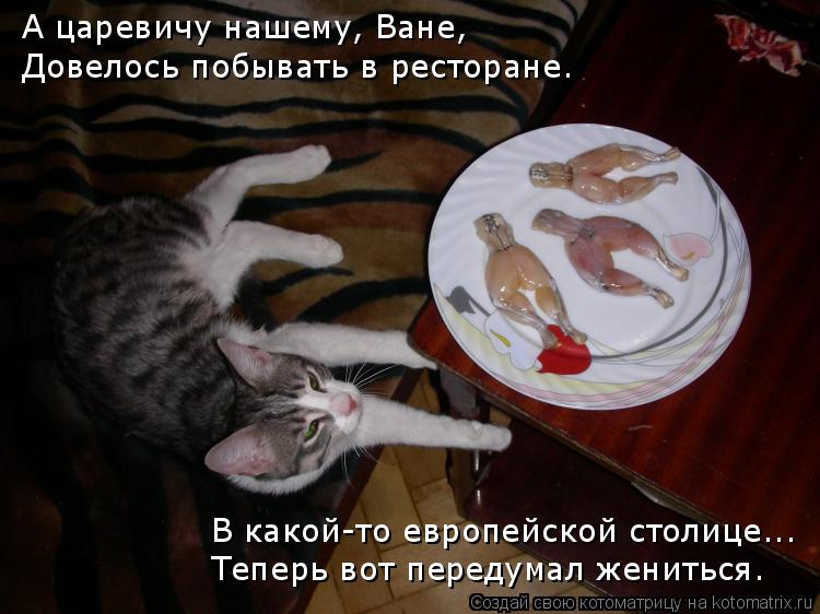 Котоматрица: А царевичу нашему, Ване, Довелось побывать в ресторане. В какой-то европейской столице... Теперь вот передумал жениться.
