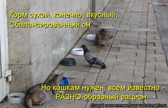Котоматрица: Корм сухой, конечно, вкусный, Сбалансированный он. Но кошкам нужен, всем известно - РАЗНО-образный рацион.